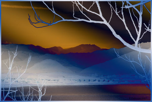 Image Hosted by ImageShack.us